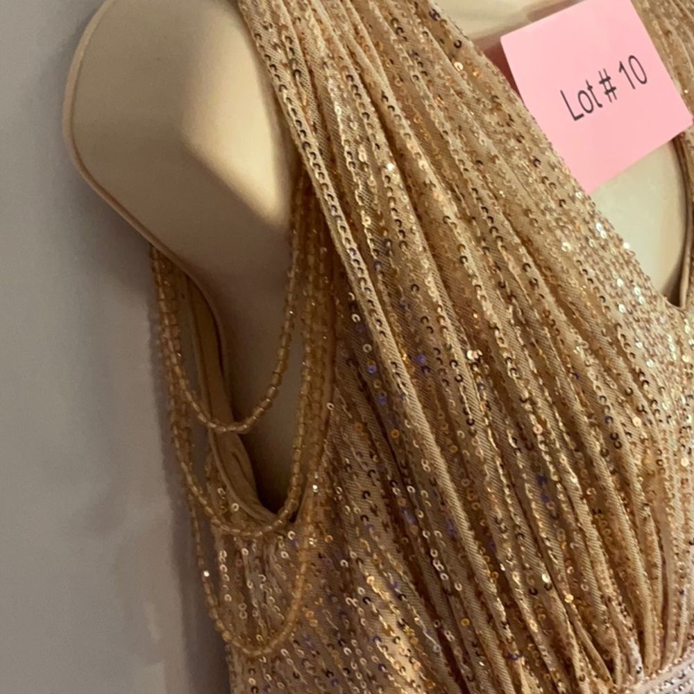 ALISA & LEO nude colored gown with gold to pinkish colored sequins all over 15JR - Picture 6 of 16